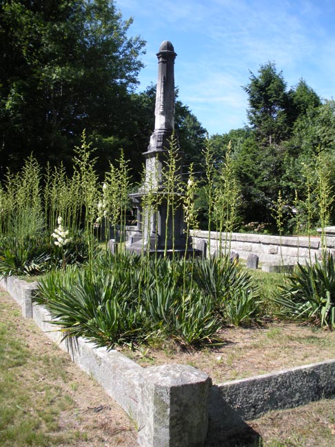 Yucca plants are throughout the Cemetery